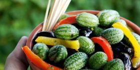 “Minishalqiri”, fruti me shije të çuditshme (Foto)