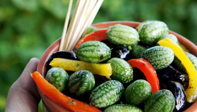 “Minishalqiri”, fruti me shije të çuditshme (Foto)