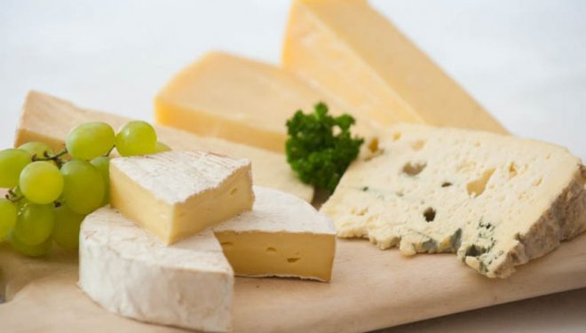 Djathi, sekreti i një jete të shëndetshme