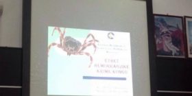 Tri vjet asnjë vdekje nga rriqrat në Malishevë