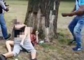 Seks në park në mes të ditës, ja si reagojnë kalimtarët (VIDEO +18)