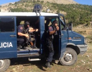 4 operacione antidrogë në Fier, arrestime dhe asgjësim kanabisi