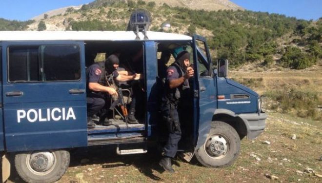 4 operacione antidrogë në Fier, arrestime dhe asgjësim kanabisi