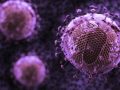 Konfirmohet rasti i dytë i një personi që u shërua “natyrshëm” nga virusi HIV pa trajtim mjekësor