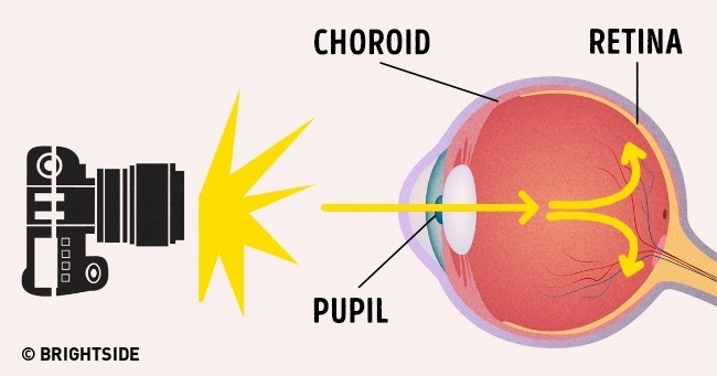 6942710-02-1475234512-650-f7484ca2ca-1-1475242023