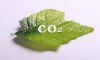 Zhvillohet një katalizator të ri për të shndërruar CO2 në acid formik të pastër