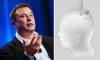 Elon Musk do të nisë transplantimin e çipeve në trurin e njeriut në vitin 2022