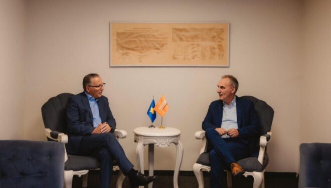 Hamza: Fatmir Limaj do ta mbështesë Partinë Demokratike të Kosovës në zgjedhjet e 7 qershorit