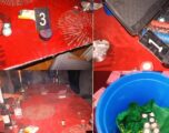 Arrestohen 11 persona në Pozheran të Vitisë, dyshohen për bixhoz të paligjshëm