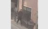 Policia kërkon ndihmën e qytetarëve për identifikimin e një të dyshuari për vjedhje Policia kërkon ndihmën e qytetarëve për identifikimin e një të dyshuari për vjedhje