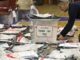 Numërohen votat e para nga KQZ: LVV 34,18%, PDK 19,95%, LDK 14,76%, AAK 9,83%