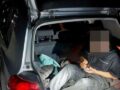 Shqiptari ndalohet në Gjermani, dyshohet për kontrabandë migrantësh, 15-vjeçari u gjet në bagazh