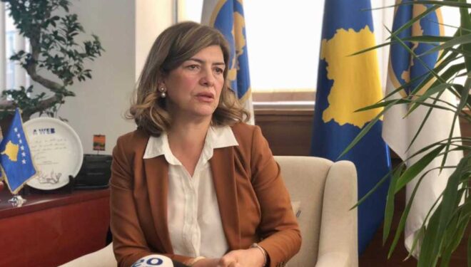 Daka: Kosova ka humbur gati dy vite në pritje të zgjedhjeve, VV po blen kohë