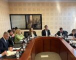 Komisioni kërkon raportim nga Vitia, Reshitaj: Të tregojë ku kanë shkuar mbi 1.8 miliardë euro për shëndetësi