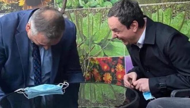Kthimi i ligjit në Kuvend, Bajqinovci: Ku janë sot ata që flisnin për bomba e ushtronin presion mbi Qeverinë dhe VV-në