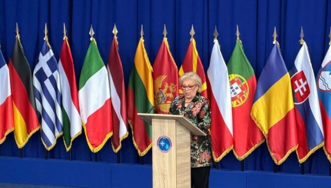 Shiroka Pula: Synojmë anëtarësimin në NATO, KFOR-i të jetë mjet i drejtpërdrejtë sigurie