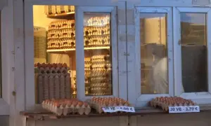 30 vezë deri në 4 euro, qytetarët kërkojnë uljen e çmimeve për produktet bazë